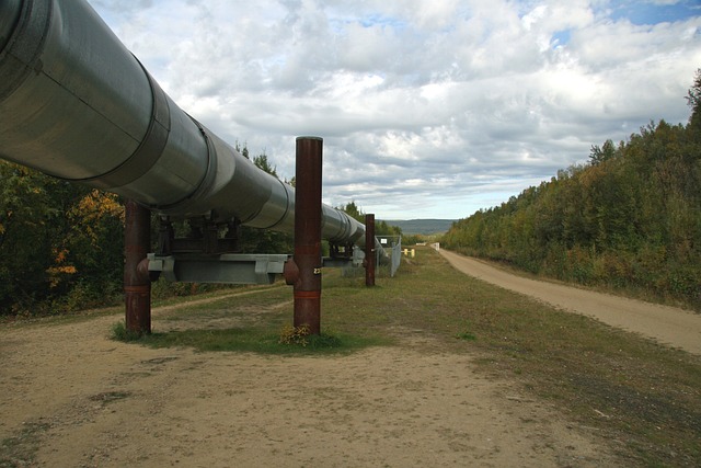 Alaska Pipeline