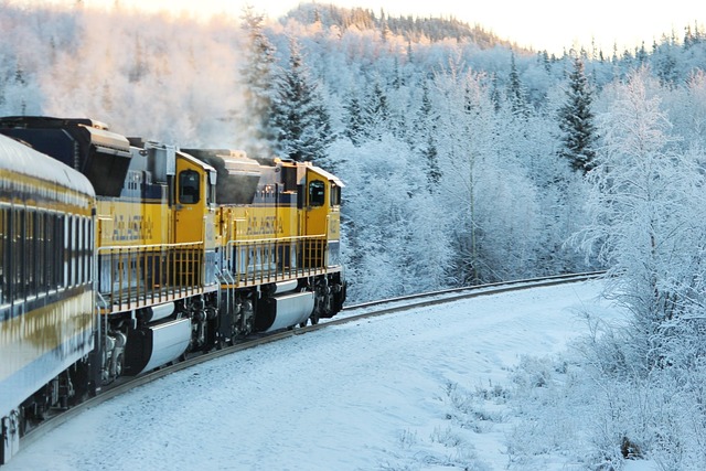 Alaska railroad train